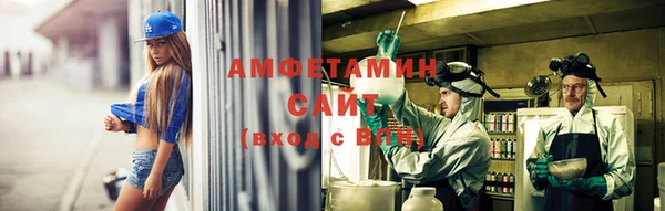 стафф Алзамай