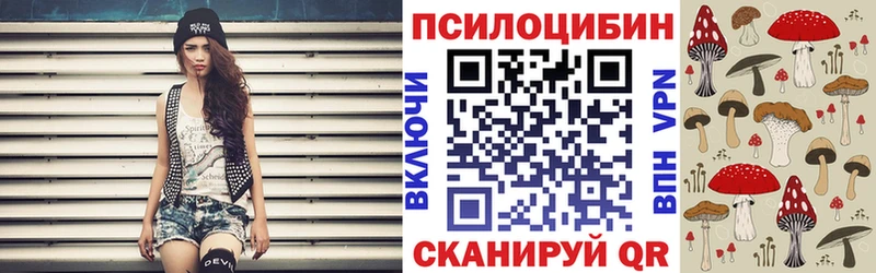 Псилоцибиновые грибы Psilocybe  закладка  Новоульяновск 